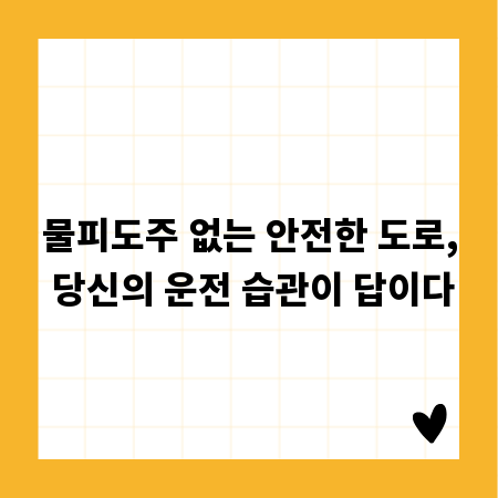 물피도주 없는 안전한 도로, 당신의 운전 습관이 답이다