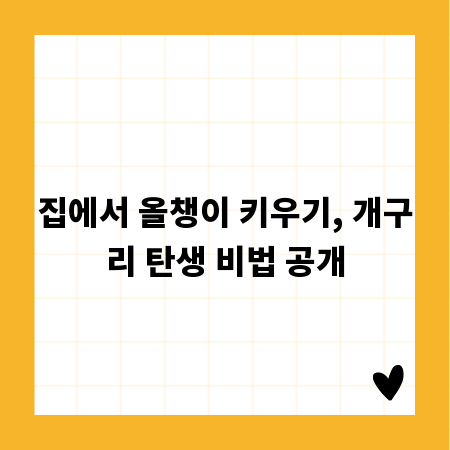 집에서 올챙이 키우기, 개구리 탄생 비법 공개