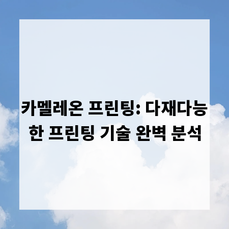 카멜레온 프린팅: 다재다능한 프린팅 기술 완벽 분석
