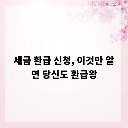 세금 환급 신청, 이것만 알면 당신도 환급왕