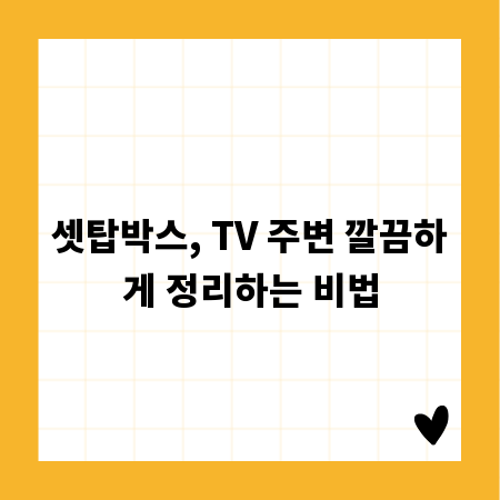 셋탑박스, TV 주변 깔끔하게 정리하는 비법