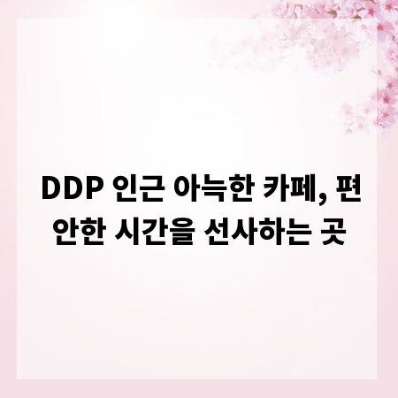 DDP 인근 아늑한 카페, 편안한 시간을 선사하는 곳