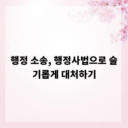 행정 소송, 행정사법으로 슬기롭게 대처하기