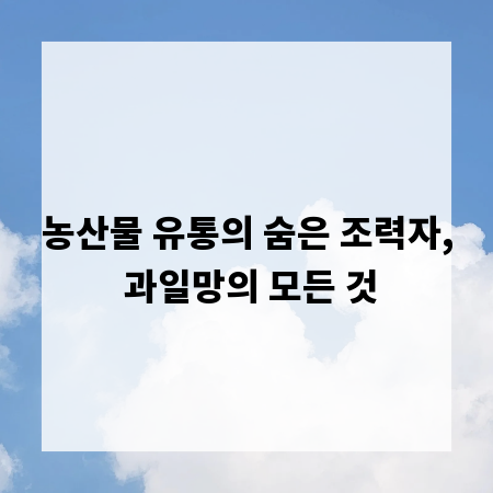 농산물 유통의 숨은 조력자, 과일망의 모든 것