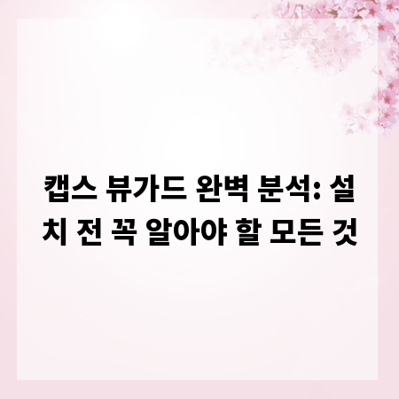 캡스 뷰가드 완벽 분석: 설치 전 꼭 알아야 할 모든 것