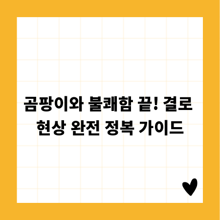 곰팡이와 불쾌함 끝! 결로 현상 완전 정복 가이드
