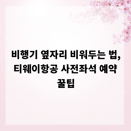 비행기 옆자리 비워두는 법, 티웨이항공 사전좌석 예약 꿀팁