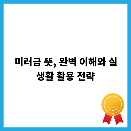 미러급 뜻, 완벽 이해와 실생활 활용 전략