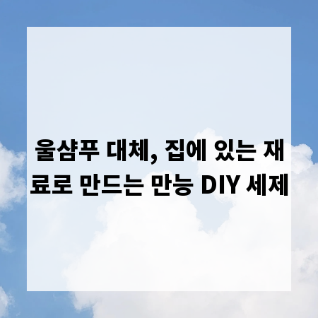 울샴푸 대체, 집에 있는 재료로 만드는 만능 DIY 세제