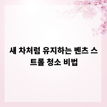 새 차처럼 유지하는 벤츠 스트롤 청소 비법