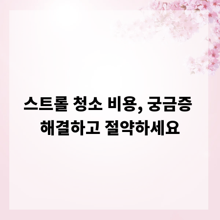 스트롤 청소 비용, 궁금증 해결하고 절약하세요