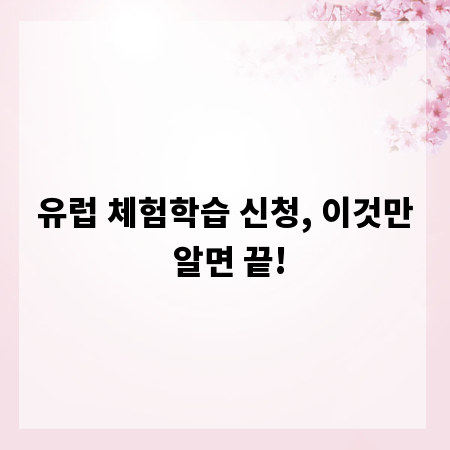 유럽 체험학습 신청, 이것만 알면 끝!