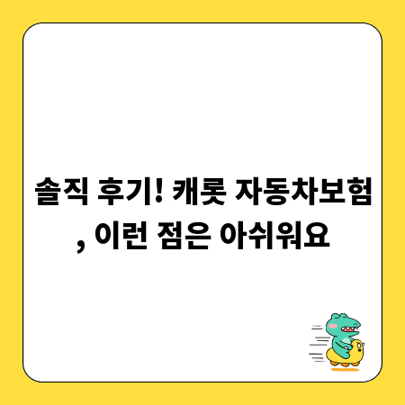 솔직 후기! 캐롯 자동차보험, 이런 점은 아쉬워요