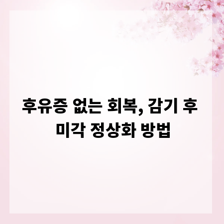 후유증 없는 회복, 감기 후 미각 정상화 방법