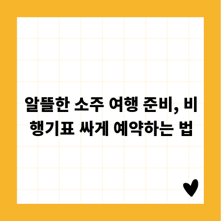 알뜰한 소주 여행 준비, 비행기표 싸게 예약하는 법