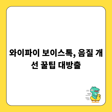 와이파이 보이스톡, 음질 개선 꿀팁 대방출