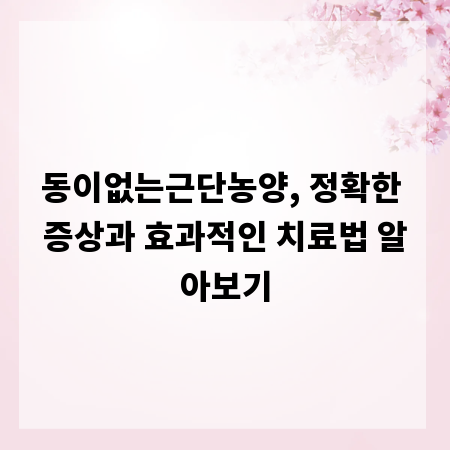 동이없는근단농양, 정확한 증상과 효과적인 치료법 알아보기