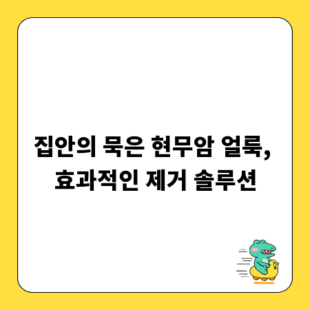집안의 묵은 현무암 얼룩, 효과적인 제거 솔루션