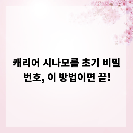 캐리어 시나모롤 초기 비밀번호, 이 방법이면 끝!