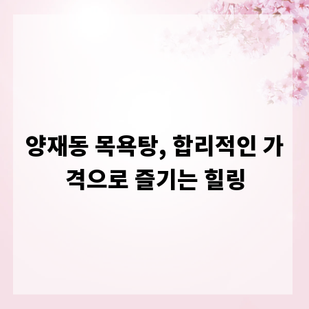 양재동 목욕탕, 합리적인 가격으로 즐기는 힐링