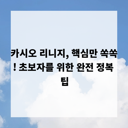 카시오 리니지, 핵심만 쏙쏙! 초보자를 위한 완전 정복 팁
