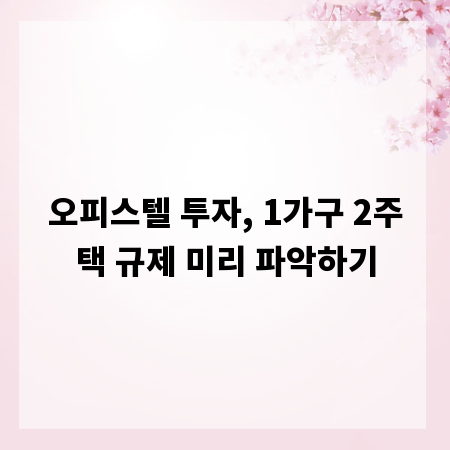 오피스텔 투자, 1가구 2주택 규제 미리 파악하기