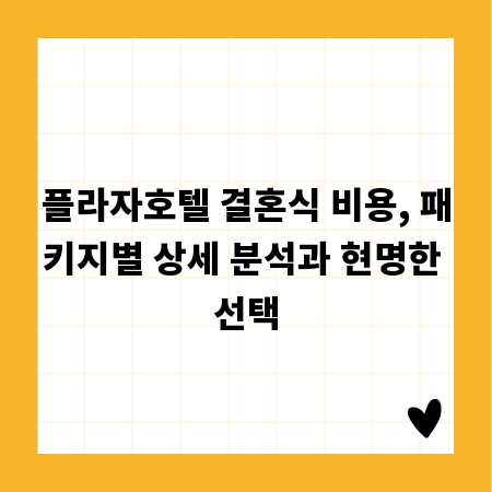 플라자호텔 결혼식 비용, 패키지별 상세 분석과 현명한 선택
