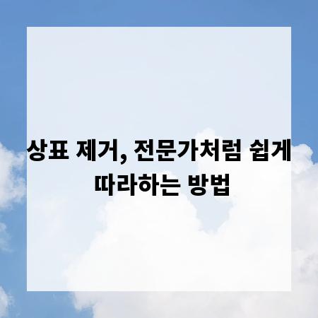 상표 제거, 전문가처럼 쉽게 따라하는 방법