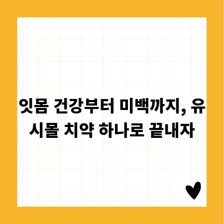 잇몸 건강부터 미백까지, 유시몰 치약 하나로 끝내자