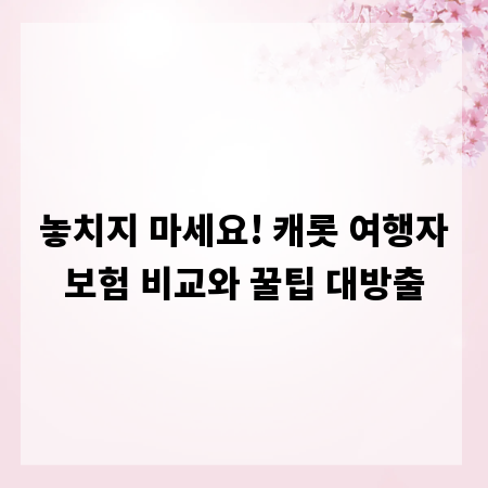 놓치지 마세요! 캐롯 여행자보험 비교와 꿀팁 대방출