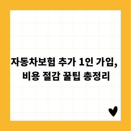 자동차보험 추가 1인 가입, 비용 절감 꿀팁 총정리