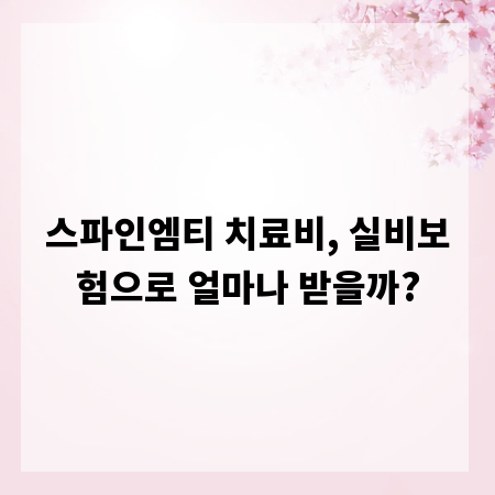 스파인엠티 치료비, 실비보험으로 얼마나 받을까?