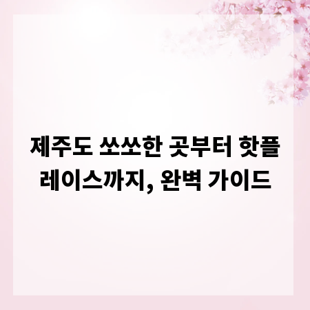 제주도 쏘쏘한 곳부터 핫플레이스까지, 완벽 가이드