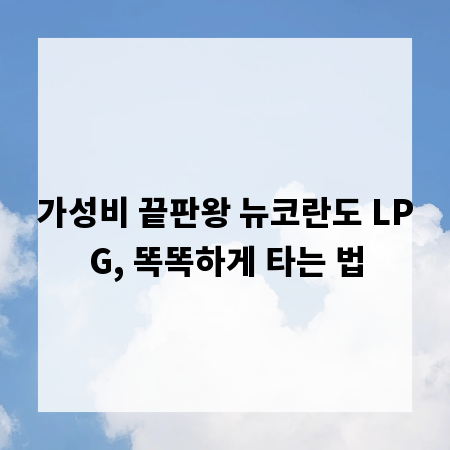 가성비 끝판왕 뉴코란도 LPG, 똑똑하게 타는 법