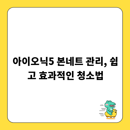 아이오닉5 본네트 관리, 쉽고 효과적인 청소법