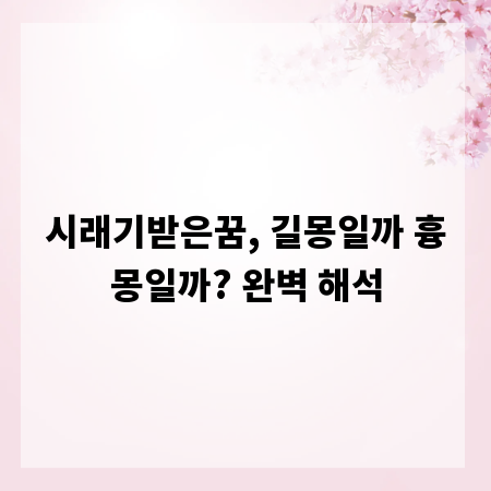 시래기받은꿈, 길몽일까 흉몽일까? 완벽 해석