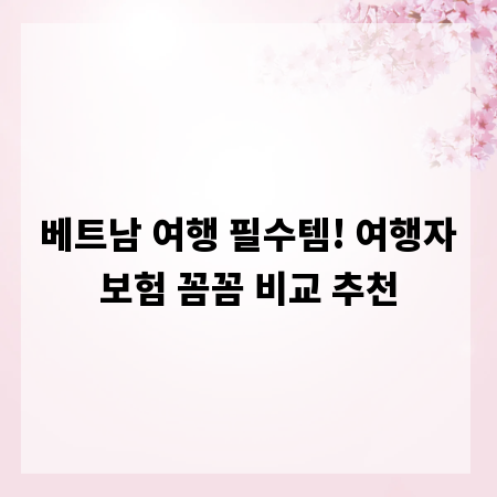 베트남 여행 필수템! 여행자보험 꼼꼼 비교 추천