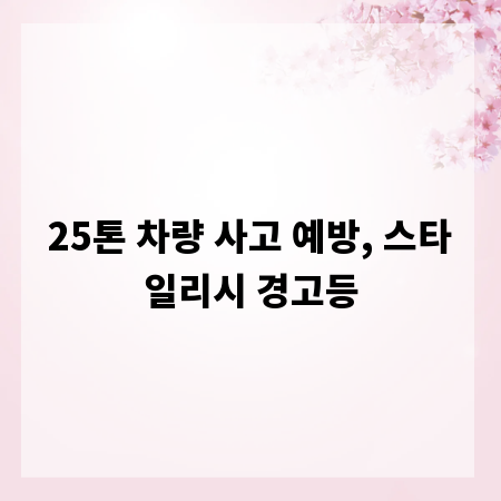 25톤 차량 사고 예방, 스타일리시 경고등