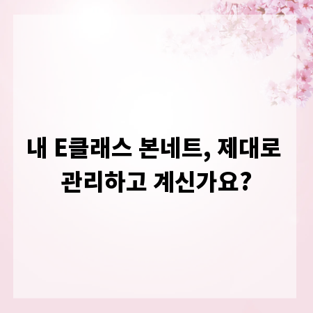 내 E클래스 본네트, 제대로 관리하고 계신가요?