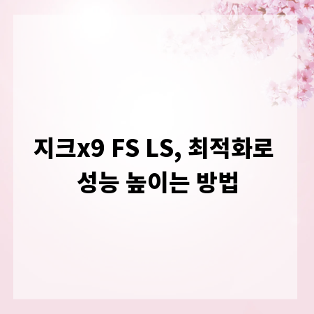 지크x9 FS LS, 최적화로 성능 높이는 방법