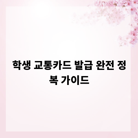 학생 교통카드 발급 완전 정복 가이드