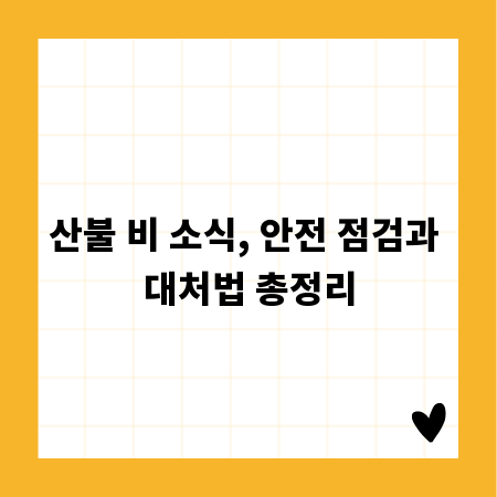 산불 비 소식, 안전 점검과 대처법 총정리