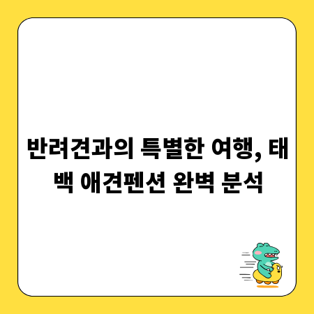 반려견과의 특별한 여행, 태백 애견펜션 완벽 분석