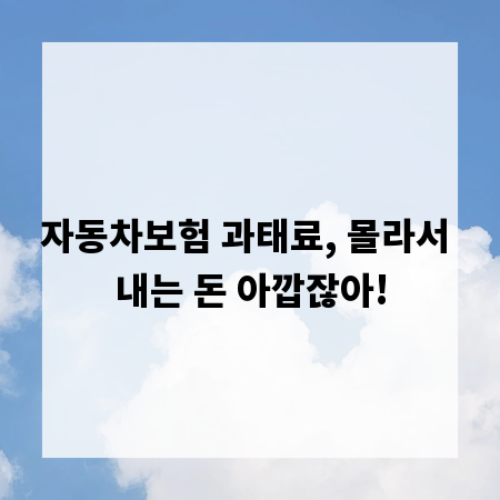 자동차보험 과태료, 몰라서 내는 돈 아깝잖아!