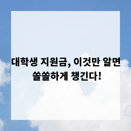 대학생 지원금, 이것만 알면 쏠쏠하게 챙긴다!