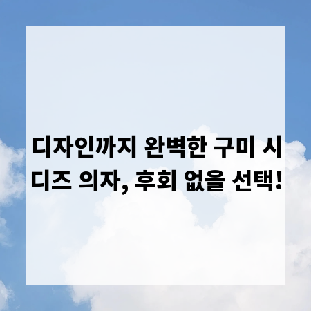 디자인까지 완벽한 구미 시디즈 의자, 후회 없을 선택!
