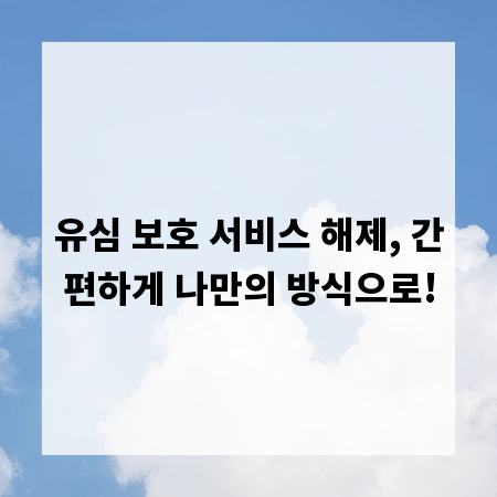 유심 보호 서비스 해제, 간편하게 나만의 방식으로!