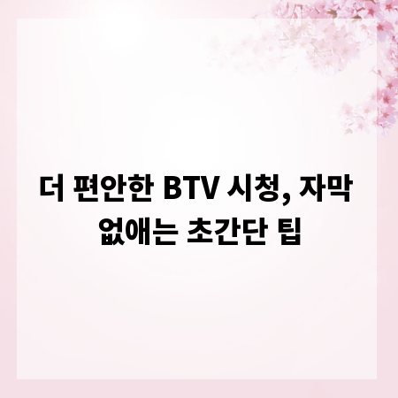 더 편안한 BTV 시청, 자막 없애는 초간단 팁