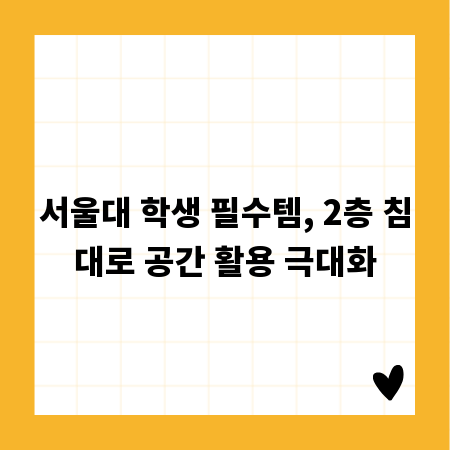 서울대 학생 필수템, 2층 침대로 공간 활용 극대화