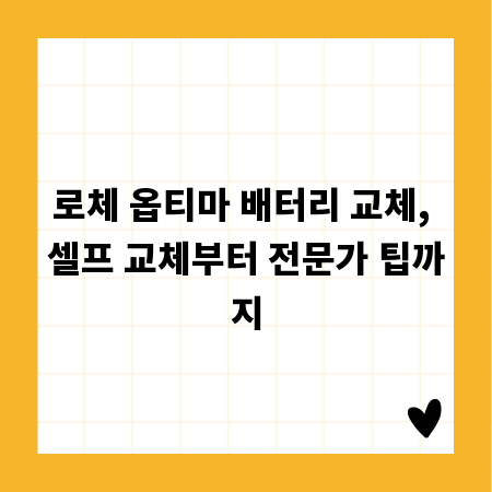 로체 옵티마 배터리 교체, 셀프 교체부터 전문가 팁까지